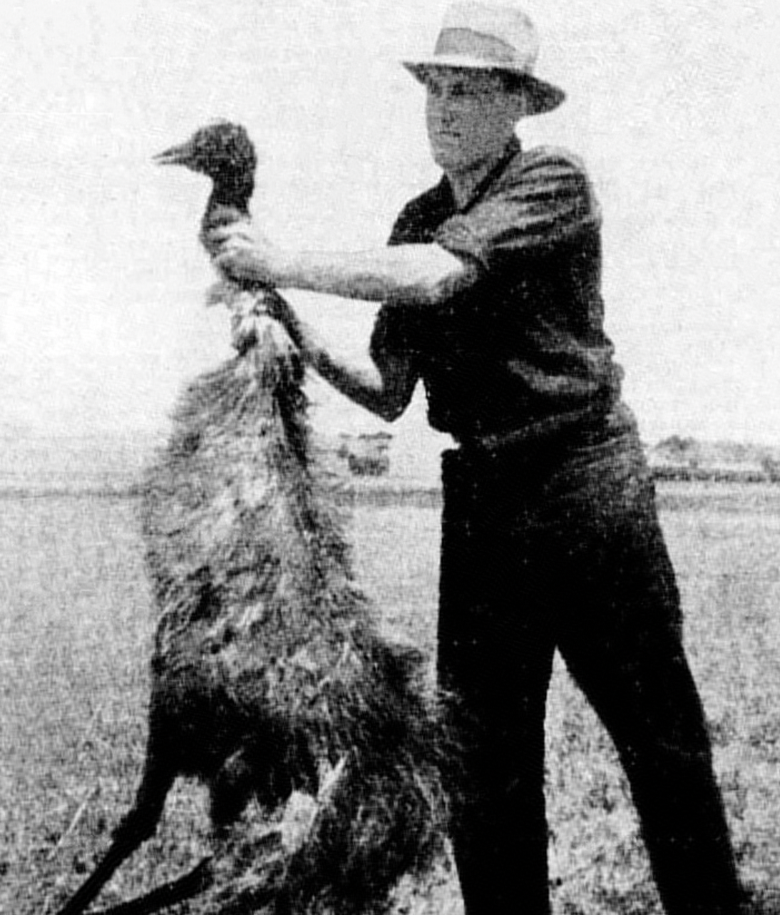 “Aussies lost to Emus”